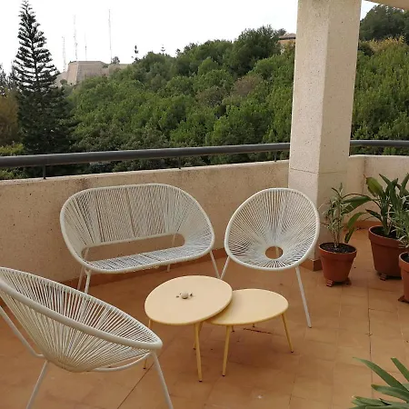 Modern Terrace Living